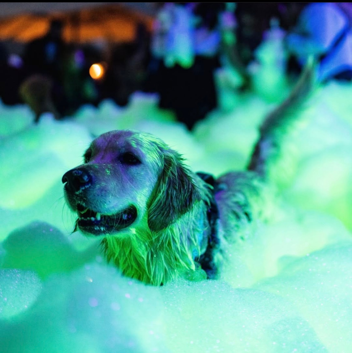 Fun for the whole family - Foam O Clock Party Rentals foam party rentals Boulder, CO